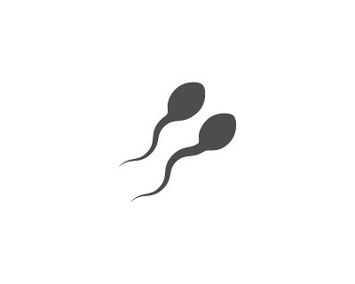 精子向量