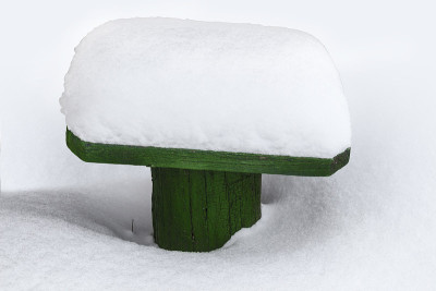 后院的雪