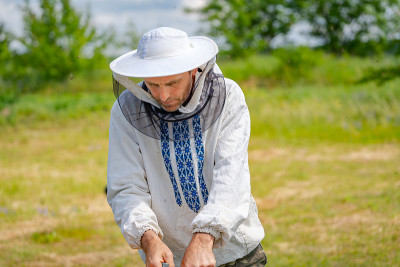 夏天养蜂人在养蜂场。在养蜂场工作的人。养蜂。养蜂的概念。