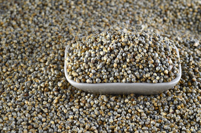 Bajra(珍珠粟)在白色盘子