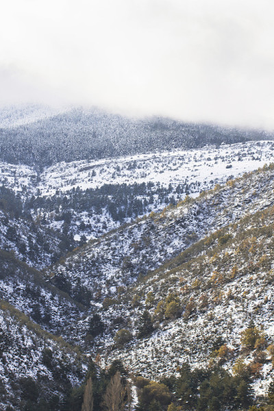 秋天，雾气笼罩着雪山