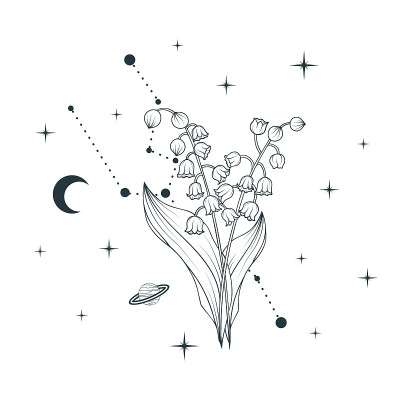 山谷里的天上百合。矢量插图几何和精神植物，为礼品卡和邀请的星星和月亮。