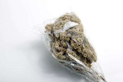 近距离拍摄干燥的爪哇安纳蚜