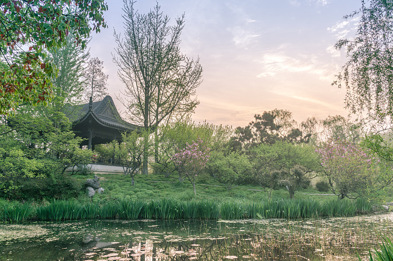 中国南京明晓陵风景区，春日樱花盛开。