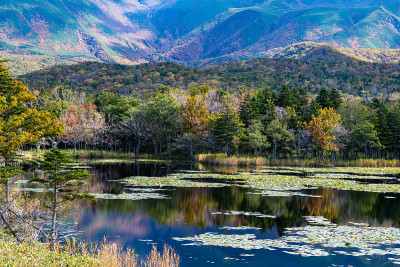 知子五湖(知子五湖)，秋叶，知子，北海道，日本