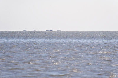 圣peter-ording