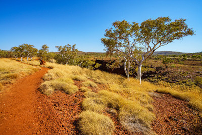在karijini国家公园的weano峡谷边缘徒步旅行，澳大利亚西部