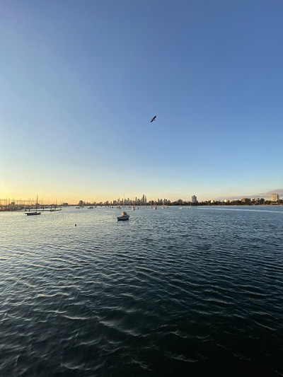 海湾城市