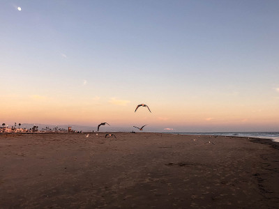太阳落在纽波特比奇的海洋，加利福尼亚州