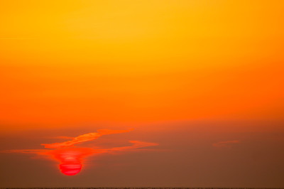 景观