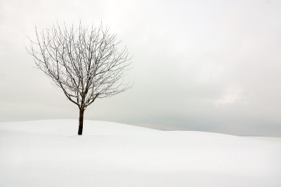 寒冷和大雪