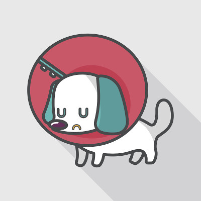 宠物伊丽莎白时代的长阴影平领图标，eps10