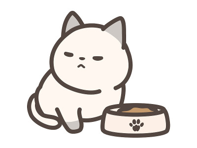 一只不吃东西的猫