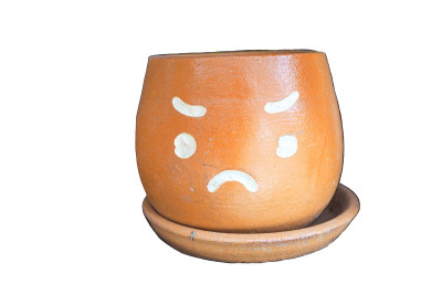 锅用脸