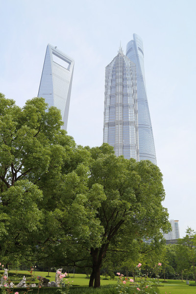上海的城市