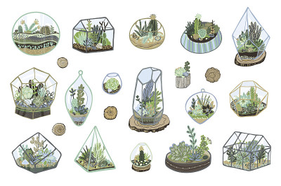 Florarium矢量插图集
