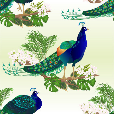 Seamless texture Peacocks beauty exotic birds natu