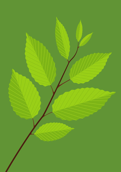 季节