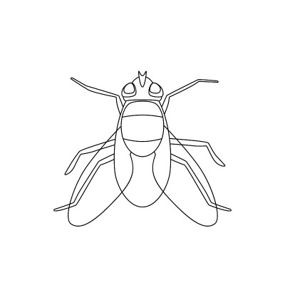 飞画线