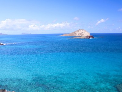 夏威夷海滩的颜色为蓝绿色和绿色
