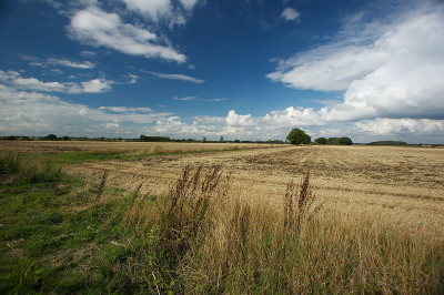 MH_landscapes030