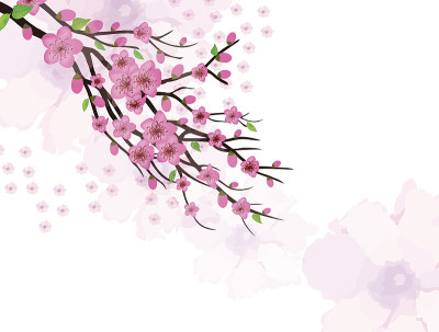 梅花贺年卡