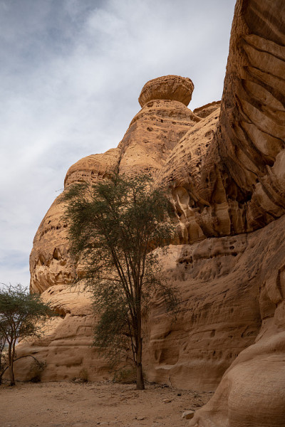 沙特阿拉伯Al Ula附近的Mada'in Saleh (Al- hijr & Hegra)考古遗址