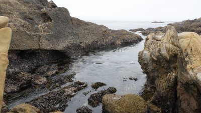 Point Lobos国家自然保护区海洋与岩石在美国加利福尼亚州卡梅尔
