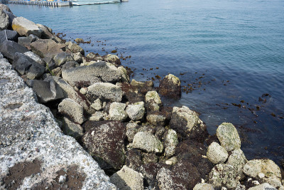 海港风景