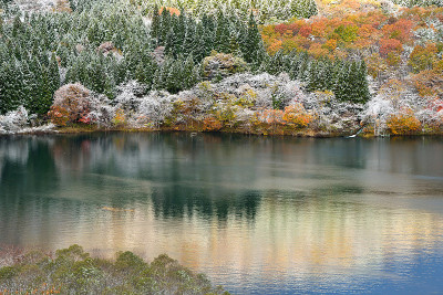风景