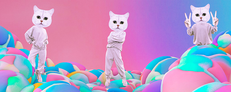 时尚拼贴横幅。有趣的猫角色的姿势和情绪。社交网络，推广，遵循概念。