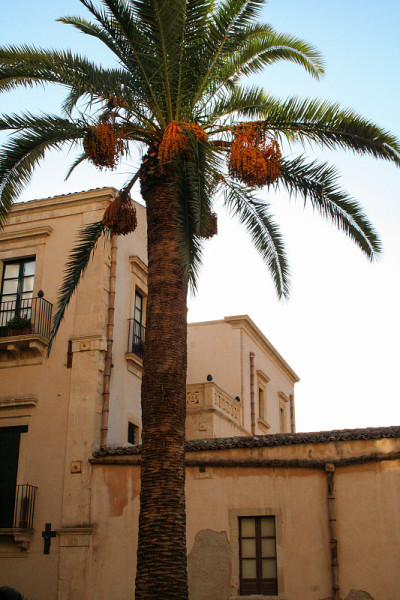 Noto