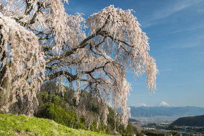 山富士