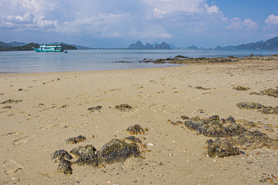 安达曼海岸边的海滩。泰国