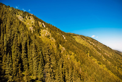 山