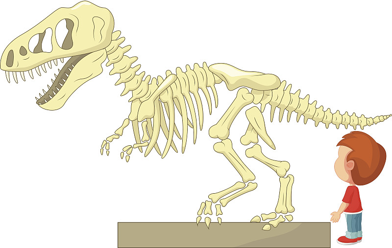 博物馆里的卡通男孩和恐龙骨架