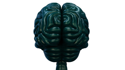 人脑神经系统的中枢器官
