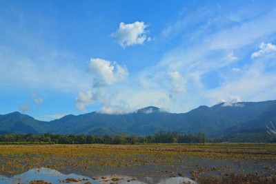 晋州、乡村景观