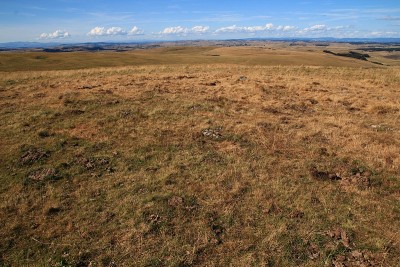 奥布拉克牧场全景(Lozère，法国)