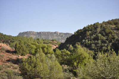 山