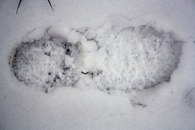 泥泞的雪地上有鞋印。