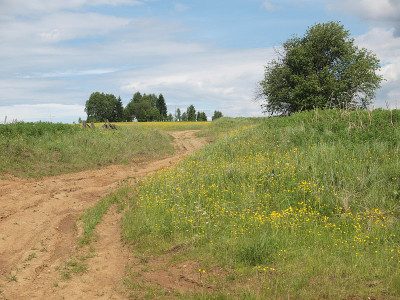 通往田野的路