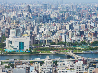日本观察室
