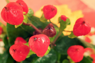 花
