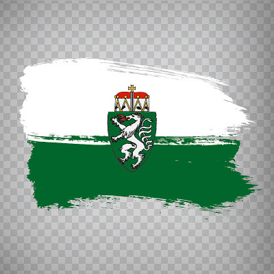 Flag of Styria brush strokes. Flag of Styria on tr