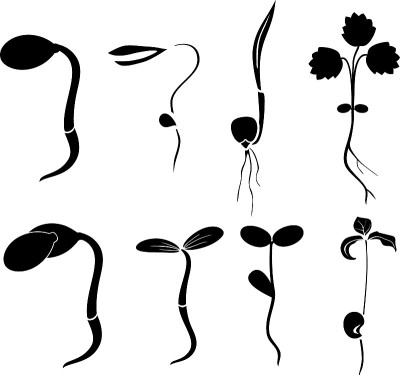 Set of black silhouettes of different plant sprout