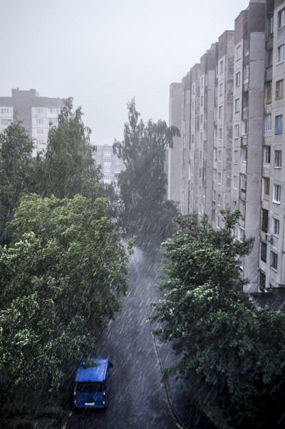 雨