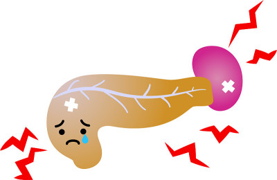 一个可爱的胰腺和脾脏的插图