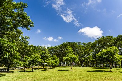 美丽的城市公园在台南，台湾。