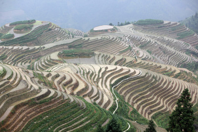 中国龙脊梯田